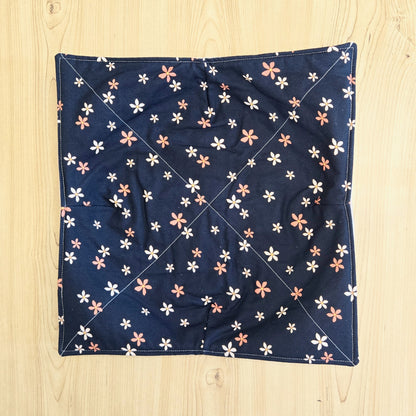 Plate Cozy